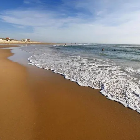 Apartment : T2 Avec Terrasse, A 50m De L'ocean Et Proche Centre, Parking Prive - Fr-1-521-62 Biscarrosse-Plage